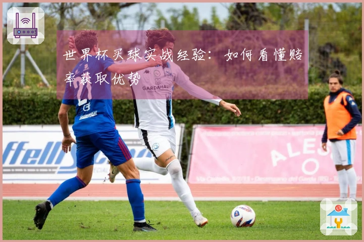 世界杯买球实战经验：如何看懂赔率获取优势
