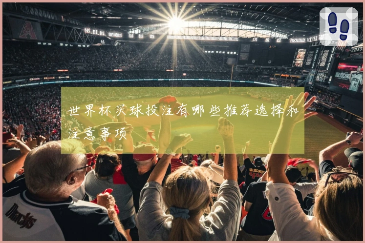 世界杯买球投注有哪些推荐选择和注意事项