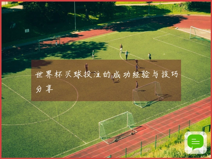 世界杯买球投注的成功经验与技巧分享
