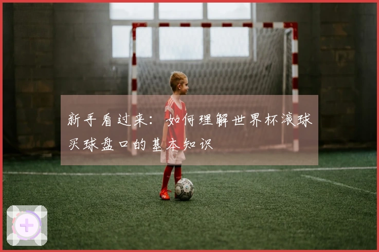 新手看过来：如何理解世界杯滚球买球盘口的基本知识