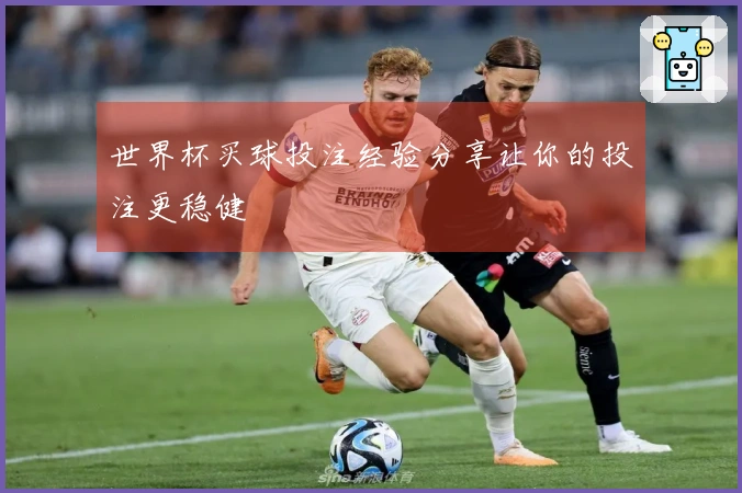 世界杯买球投注经验分享让你的投注更稳健