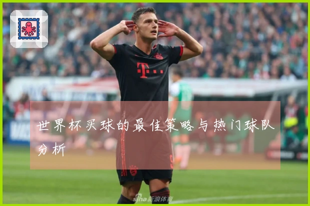 世界杯买球的最佳策略与热门球队分析