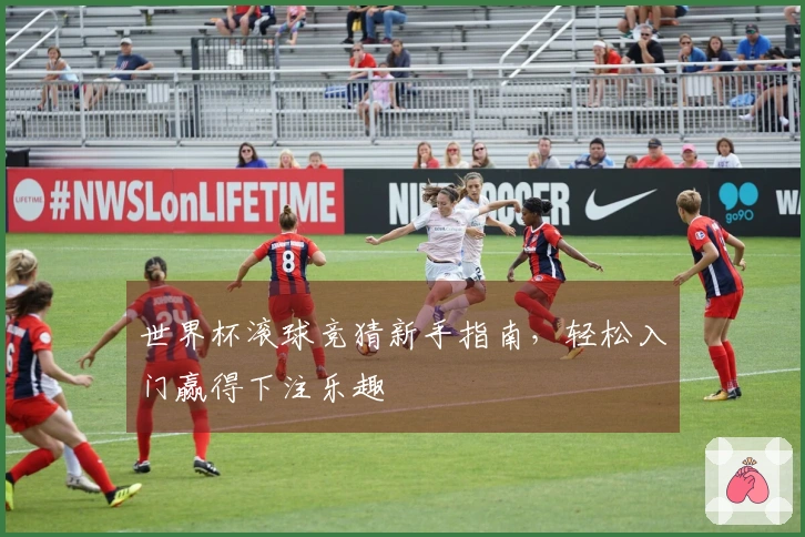 世界杯滚球竞猜新手指南，轻松入门赢得下注乐趣