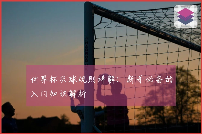 世界杯买球规则详解：新手必备的入门知识解析