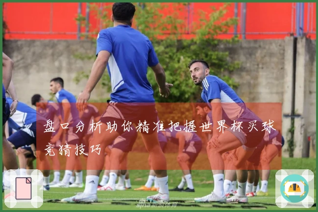 盘口分析助你精准把握世界杯买球竞猜技巧