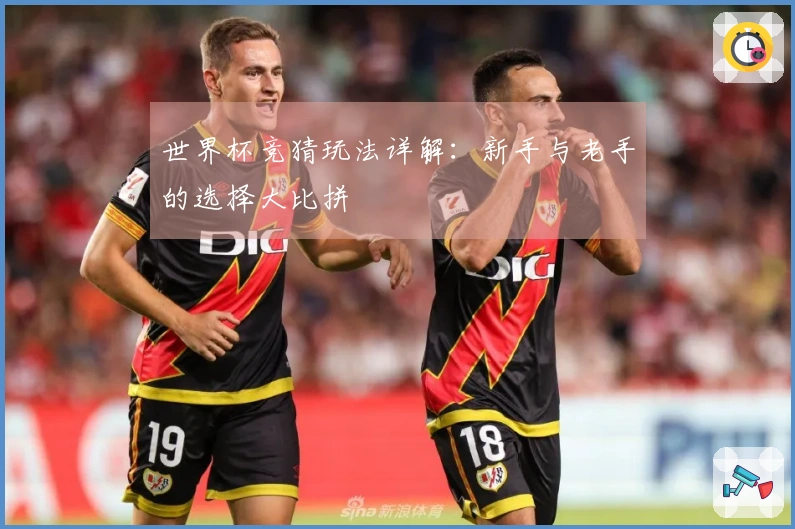 世界杯竞猜玩法详解：新手与老手的选择大比拼