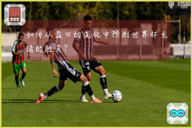 如何从盘口的变化中预测世界杯竞猜的胜负？