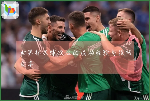 世界杯买球投注的成功经验与技巧分享