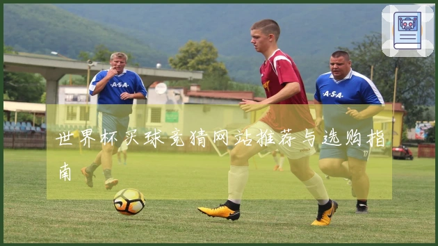 世界杯买球竞猜网站推荐与选购指南