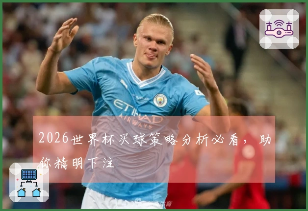 2026世界杯买球策略分析必看，助你精明下注