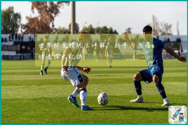 世界杯竞猜玩法详解：新手与老手的选择大比拼